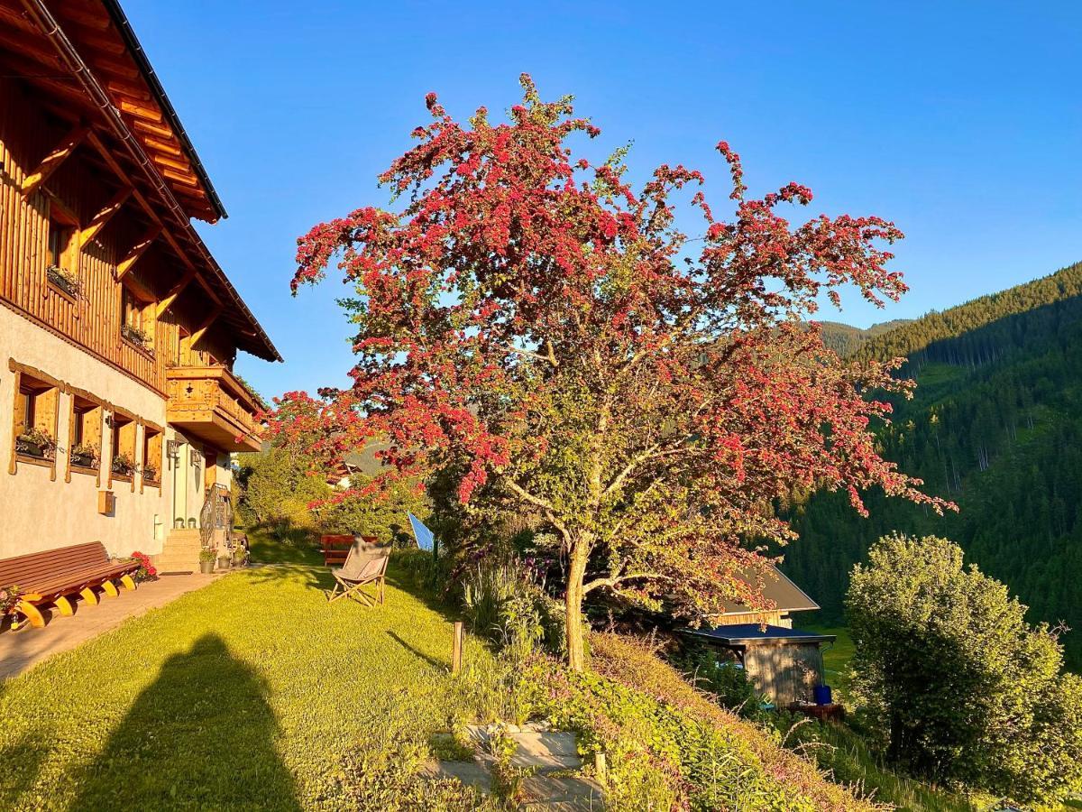 Homestay Alm Seasons Premium & Saalbach-Hinterglemm
