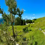 Alm Seasons Premium Chalet & Studios